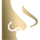 Nose